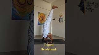 Master the Tripod Headstand: Elevate Your Practice! 🧘‍♂️✨