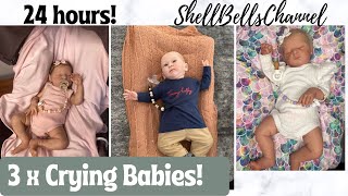 24 hours with 3 Hybrid Realcare Reborn Babies!