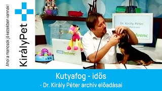 Kutyafog - idős