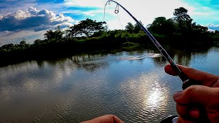 Sambaran padu || Casting Talapia Dapat Apa? || Ultralight Fishing