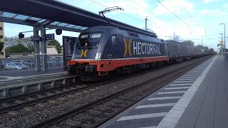 242 504 Mr Potato Head Hectorrail Taurus in Emmendingen