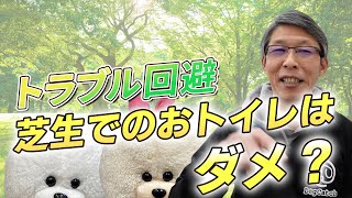 【犬のしつけ】芝生で犬のトイレをさせたらダメなの？【悩み相談ライブ切り抜き】