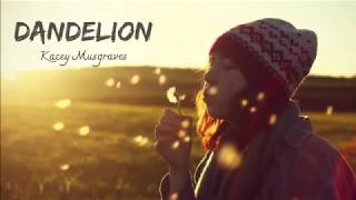 [Lyrics - Vietsub] DANDELION - Kacey Musgraves