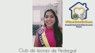 Quedándote en casa, Nosotros servimos - Novias de Clubes