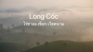 ไร่ชา Long Cốc, Vietnam สวยดั่งภาพวาด