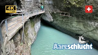 AARESCHLUCHT (Aare) GORGE - Switzerland, Walking In The Rain, October 2023 (4K)