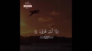 Tilawat e Quran Status | Whatsapp Islamic Status | Daily Whatsapp Status No.82