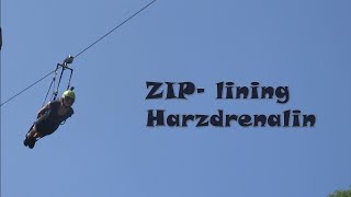 ZIP- Lining im Harz // Flying Fox //  Harzdrenalin