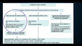 Diabetes algorithm, T2DM, metformin, sulfonylurea, roze pharm