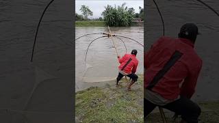 বন্যার পানিতে মাছ শিকার করছে দেখুন #video #fishing #amazinganimals #fish #fishingmethod #fishingmeth