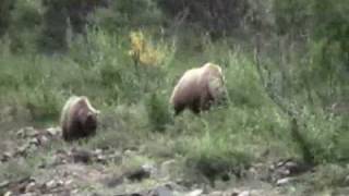 Shuttle Bus to Kantishna in Denali National Park