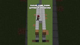 Gözlemcisiz Şeker Kamışı Farmı | Sugar Cane Farm Without Observer #shorts #minecraft