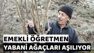 Orman Aşığı Emekli Öğretmen|Gönüllü Orman Timleri