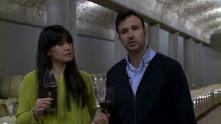 La Planta, the young face of Bodegas Arzuaga