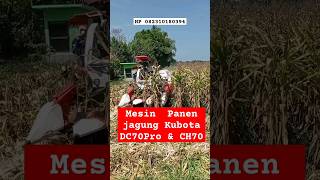 MESIN PANEN JAGUNG KUBOTA ‼️ Combi DC70Pro & CH70 [ Pipil jagung masuk karung]