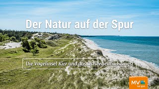 Erkundung der Natur auf Zingst und der Insel Kirr