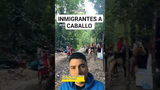 ahora los inmigrantes van a caballo #estadosunidos #migracion