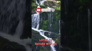 2 hours of pleasant natural sounds - water in the river.