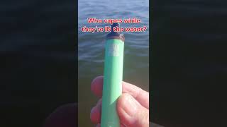 We found a VAPE in the lake #metaldetecting! Diggin' Florida /Rob! #short