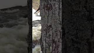 High Falls In Algonquin Park #hikingadventures #ontarioadventurers