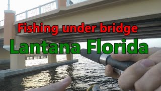 Fishing under bridge, Lantana Florida