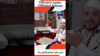 Vellezerit Sejdiu & Vellezerit Selmani   Dy pellumbat mbi cati