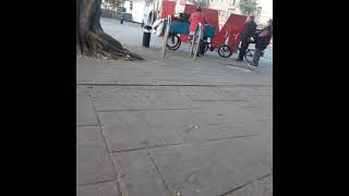 bici r20 con remolque