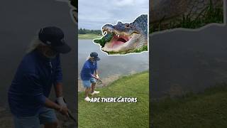 DONT GET TO CLOSE 🤣🐊 #shorts #alligator #golf #cobra #chicken #golfcourse