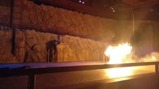 Indiana Jones LIVE At Disney's Hollywood studio, Orlando 1