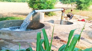 Tubewell running with the help of 25 HP petter engine || Punjab agriculture