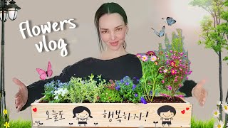 Весенний влог ^^ Высаживаю цветы :) KOREA VLOG