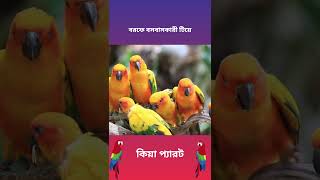 বরফে বসবাসকারী টিয়া | টিয়ার অজানা কথা #shorts