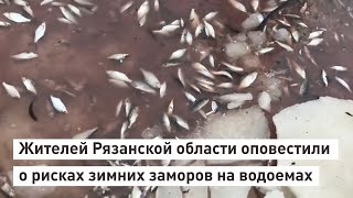 Жителей Рязанской области оповестили о рисках зимних заморов на водоемах