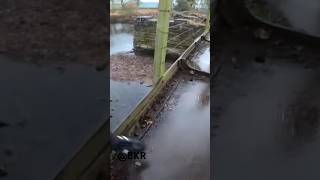 ABANDONED British Railway Bridge 🏴󠁧󠁢󠁳󠁣󠁴󠁿 SCOTLAND