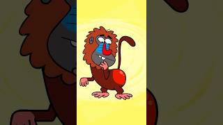 Hello, May I See Your Behind? – Hooray Kids Songs #funnyvideo #nurseryrhymes #shorts #baboonsong