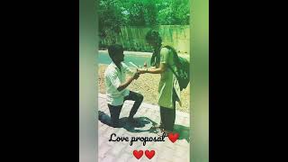 whatsapp status ❤️❤️❤️❤️ proposal video