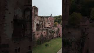 Heidelberg Castle is one of the oldest in all of Germany. #germancity #nature #travel #tramtrain