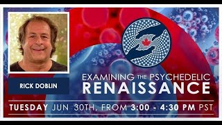 Examining the Psychedelic Renaissance Season 1 (Episode 6: Rick Doblin) | MAPS Canada Webinar