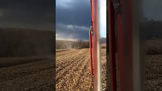 Mirror image… #johndeere #harvest #farming #mirror #harvest #corn #gmc #farmlifebestlife #farmvibes