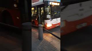 Лінія/linka 4 Terminál HD (Škoda 31Tr SOR) #bus #shorts