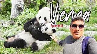 First encounter with a PANDA!! at Schonbrunn Zoo & Palace Vienna Ep 5