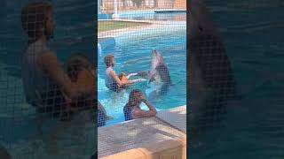 Плаваю с дельфином🐬 #дельфины #плаваюсдельфином