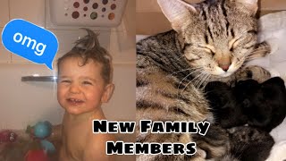 We Didn’t Expect This! New Family Members |Teen Mum Vlogs