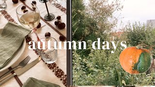 Autumn days in Germany | Erntedank fest, pumpkin pie & new semester