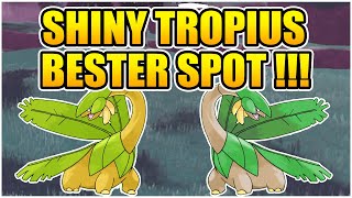 GANZ LEICHT shiny Tropius fangen !!! BESTER Spot in Pokemon Karmesin und Purpur 🍌