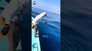 See how to catch tuna😱🎣#fishvideo #fishing #foryou #fish #sea #tuna #bigfish #bigtuna