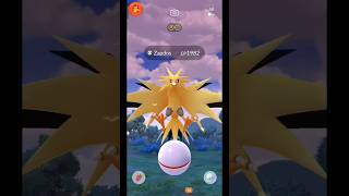 Catching Legendary Zapdos #legendarypokemon #pokemongo #shorts #zapdos