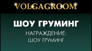 VOLGAGROOM 17.02: награждение шоу груминг