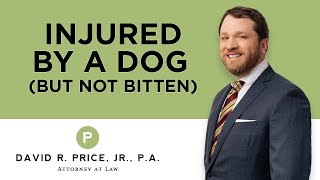 Have You Been Injured But Not Bitten by a Dog in South Carolina? | Dog Bite Lawyer SC