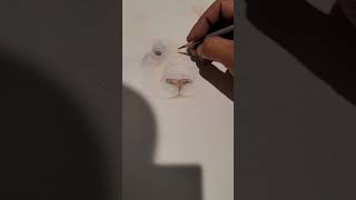 A colorpencil speeddrawing #colorpencil #colorpencilart#drawing #holimpart #shorts